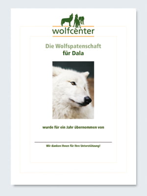 Wolfcenter, Onlineshop, Patenschaften, Wolf, Wolfspatenschaft, Hudsonbay Wolf, Dala