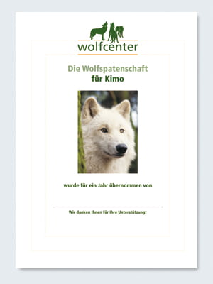 Wolfcenter, Onlineshop, Patenschaften, Wolf, Wolfspatenschaft, Hudsonbay Wolf, Kimo