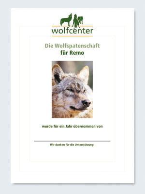 Wolfcenter, Onlineshop, Patenschaften, Wolf, Wolfspatenschaft, europäischer Grauwolf, Remo