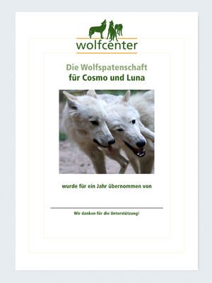 Wolfcenter Dörverden, Onlineshop, Patenschaften, Wolf, Wolfspatenschaft