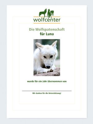 Wolfcenter Dörverden, Onlineshop, Patenschaften, Wolf, Wolfspatenschaft